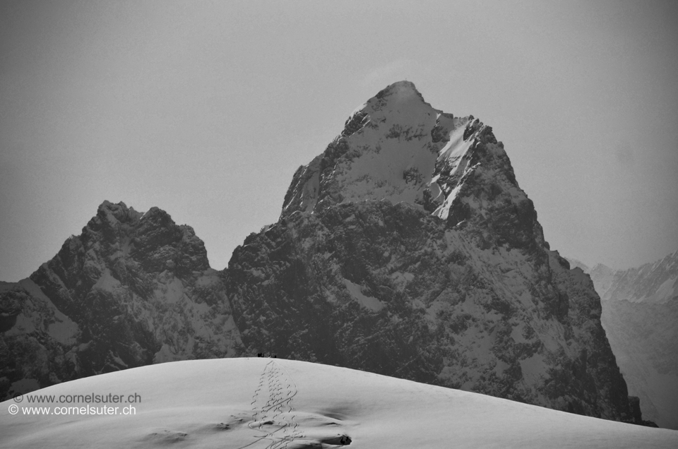 Abfahrtsspuren vom Glatten 2505m im Hintergrund Gross Windgällen 3187m.